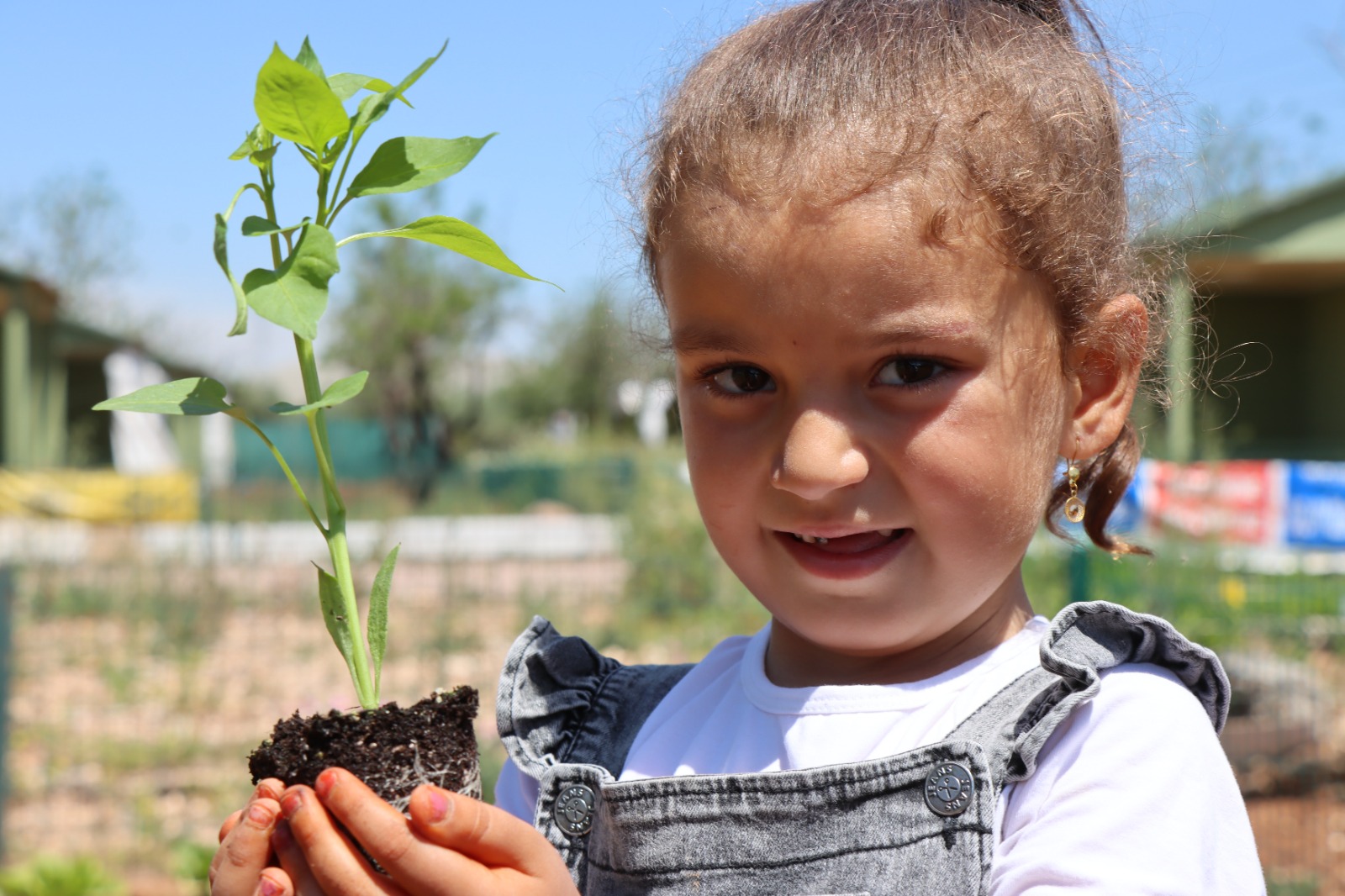 ŞANLIURFA BÜYÜKŞEHİR BELEDİYESİNDEN VATANDAŞLARA İSOT FİDESİ DAĞITILDI