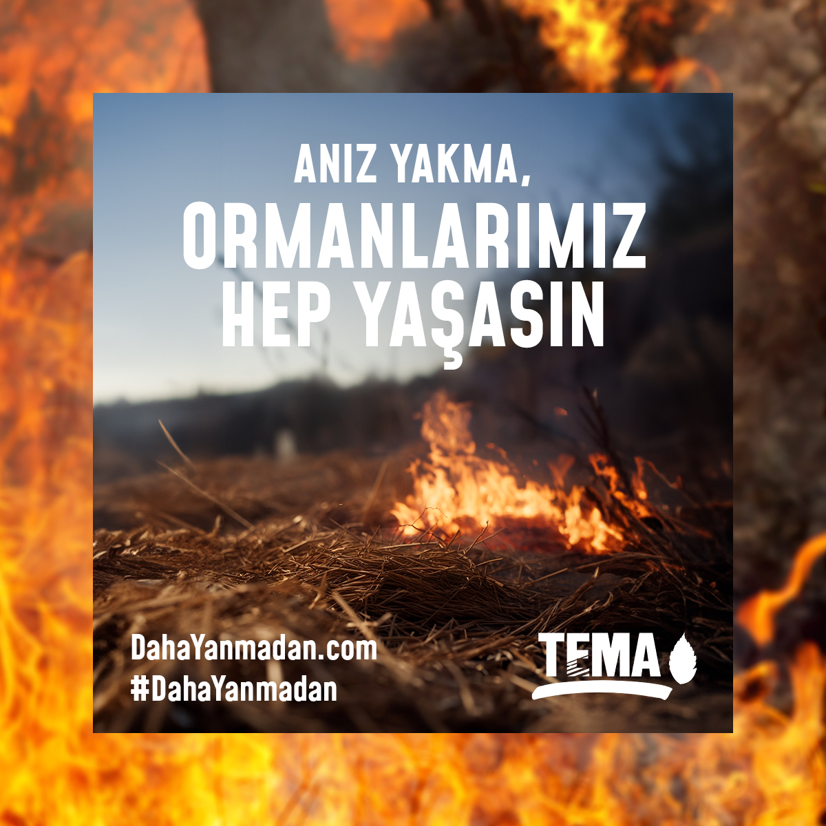 Bir kıvılcım geleceğimizi yakmasın, ormanlarımız hep yaşasın!