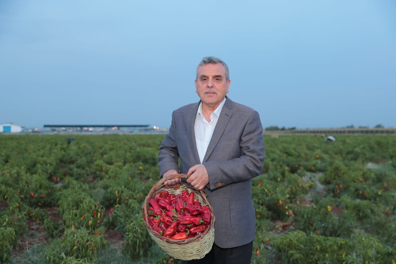 ŞANLIURFA’NIN TESCİLLİ LEZZETİ İSOTUN HASADI YAPILDI