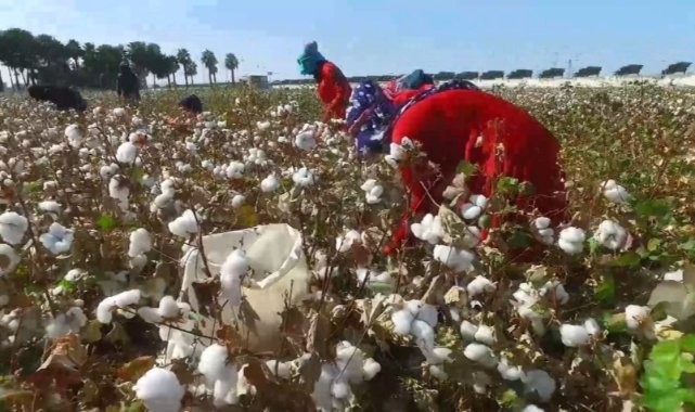 Şanlıurfa’da Tarım işçisi avukatlar, mevsimlik tarım işçilerinin sorunlarını ele aldı