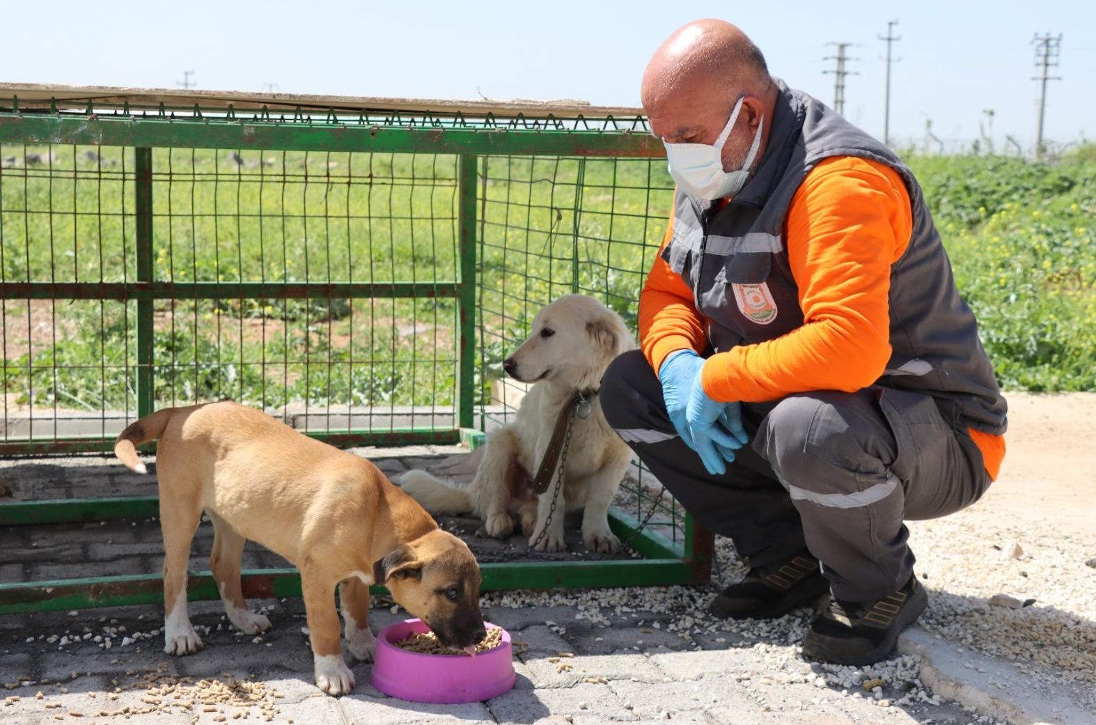 ŞANLIURFA’DA ORGANİK ATIKLARDAN MAMA VE KOMPOST GÜBRE ÜRETİMİ BAŞLADI