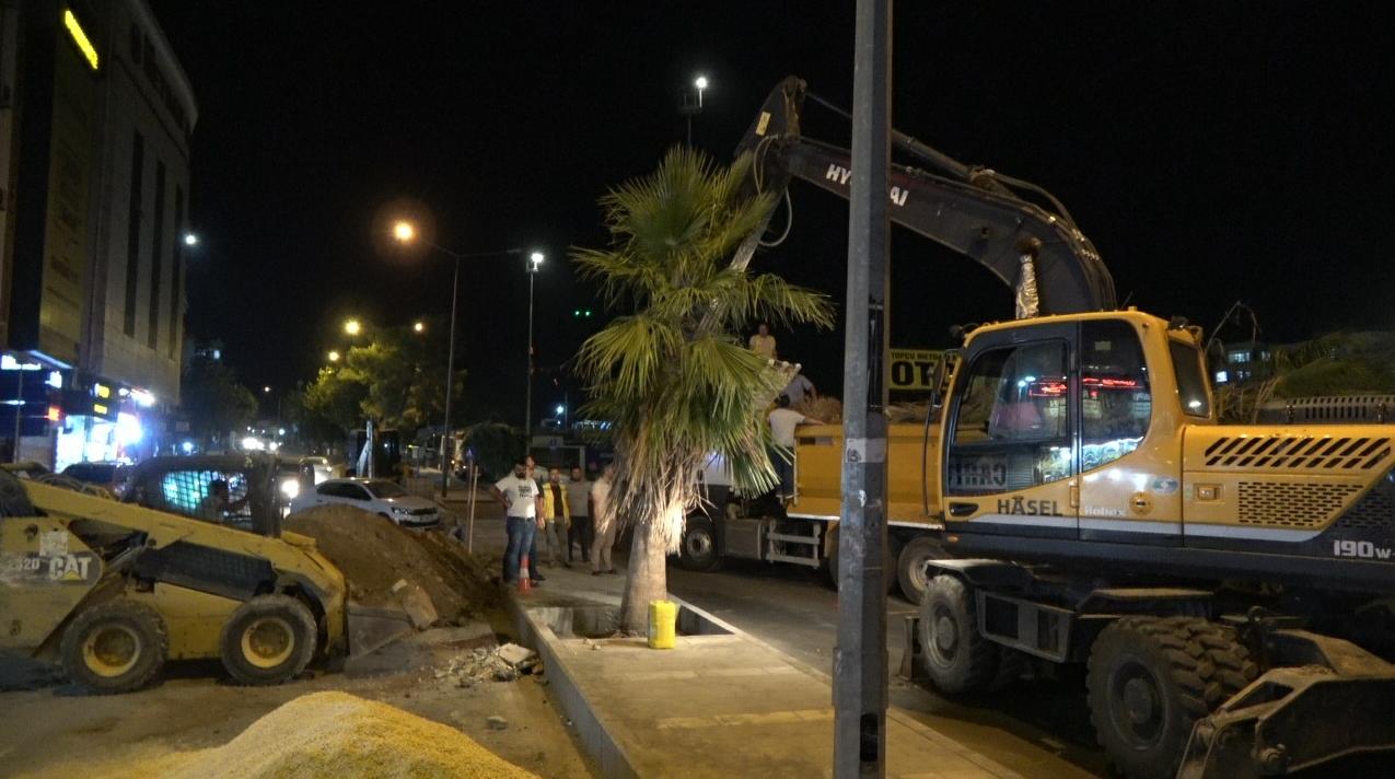 TOPÇU MEYDANI’NDA AĞAÇLANDIRMA ÇALIŞMASI