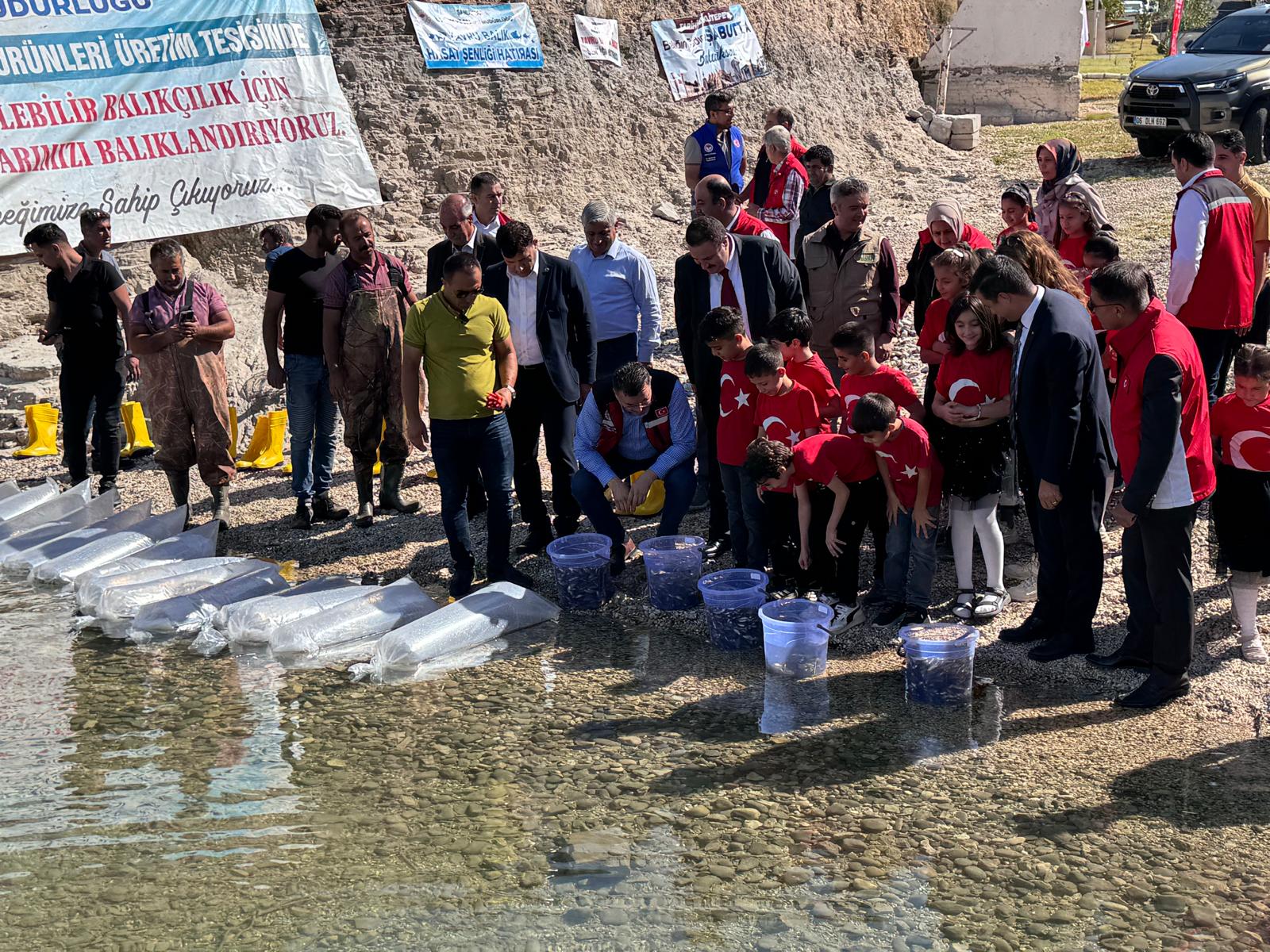 Bozova’da milyonlarca balık doğal sulara bırakıldı