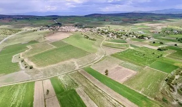 Hisseli veya intikali yapılmamış tarım arazileri masrafsız birleştiriliyor