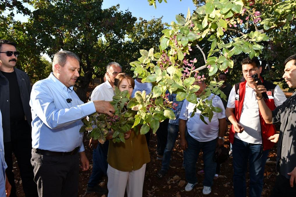 Şanlıurfa Tarımsal Üretimde de Değerlerine Sahip Çıkıyor