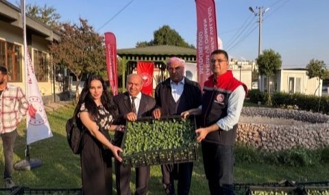 Şanlıurfa Tarım ve Orman İl Müdürü Aksoy çiftçilere fide dağıttı