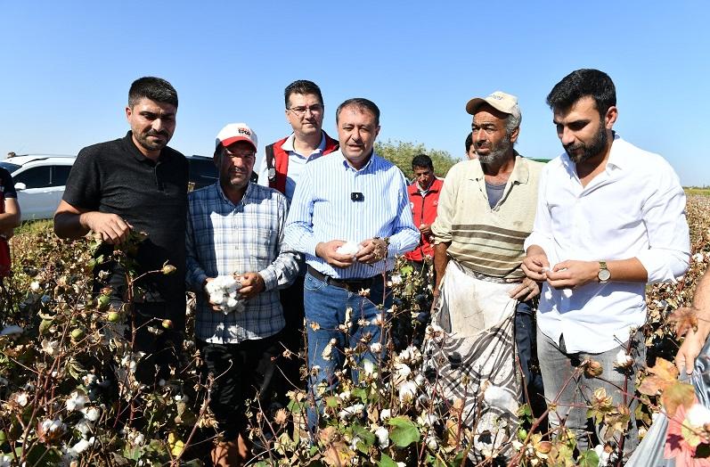 Vali Şıldak Pamuk Hasadına Katıldı