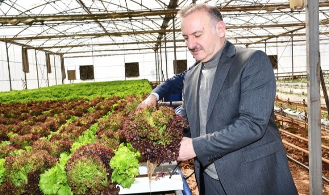 Modern Tarımın Merkezi: Harran Üniversitesi’nde Topraksız Tarım Başladı